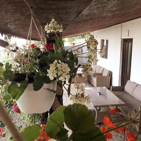 Affittacamere Casa Chitu Murighiol Esterno foto