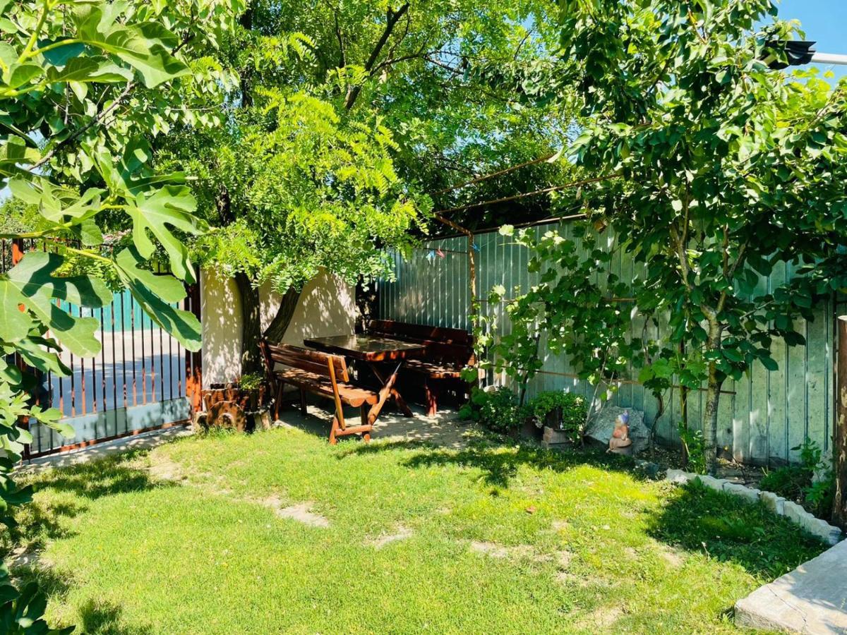 Affittacamere Casa Chitu Murighiol Esterno foto