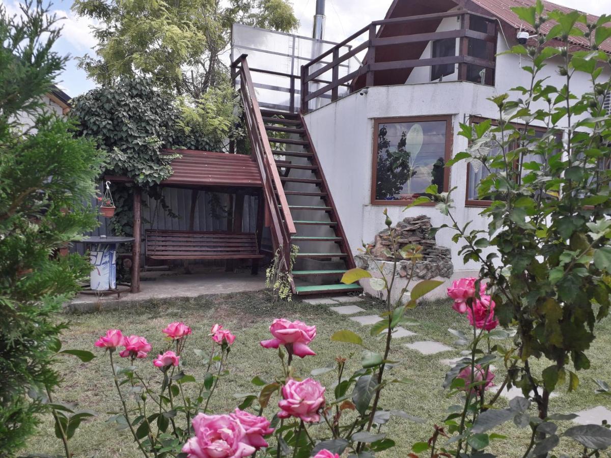Affittacamere Casa Chitu Murighiol Esterno foto
