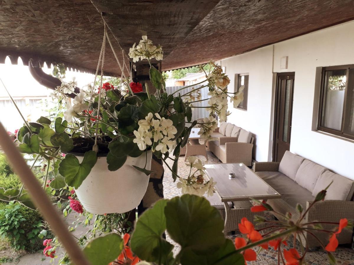 Affittacamere Casa Chitu Murighiol Esterno foto
