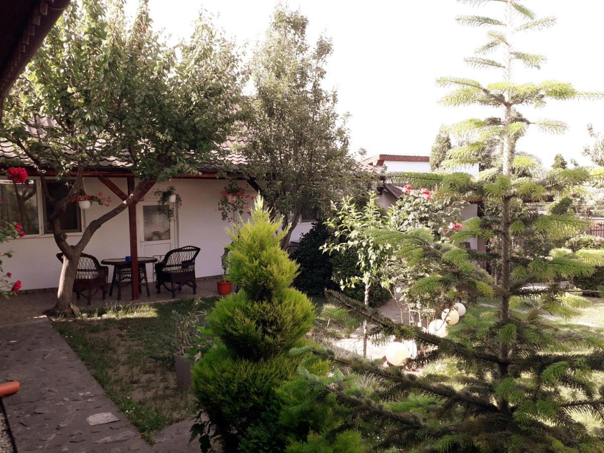 Affittacamere Casa Chitu Murighiol Esterno foto