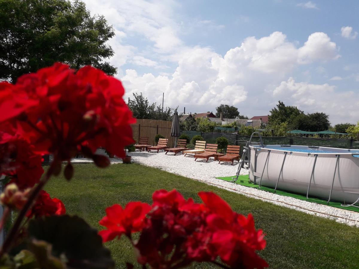 Affittacamere Casa Chitu Murighiol Esterno foto