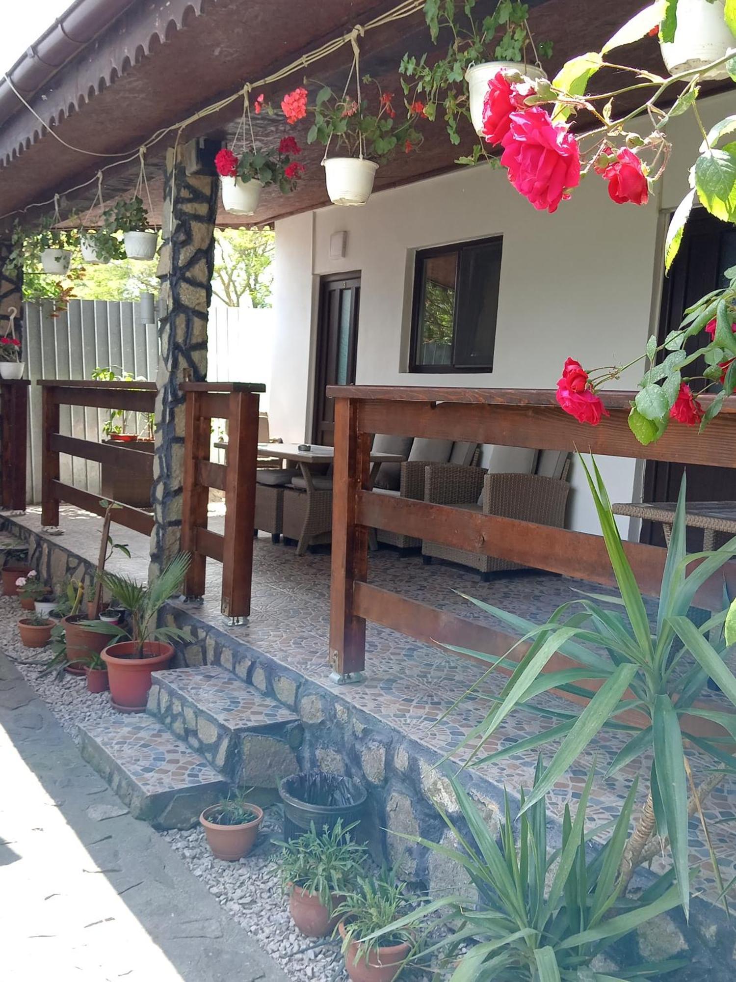 Affittacamere Casa Chitu Murighiol Esterno foto