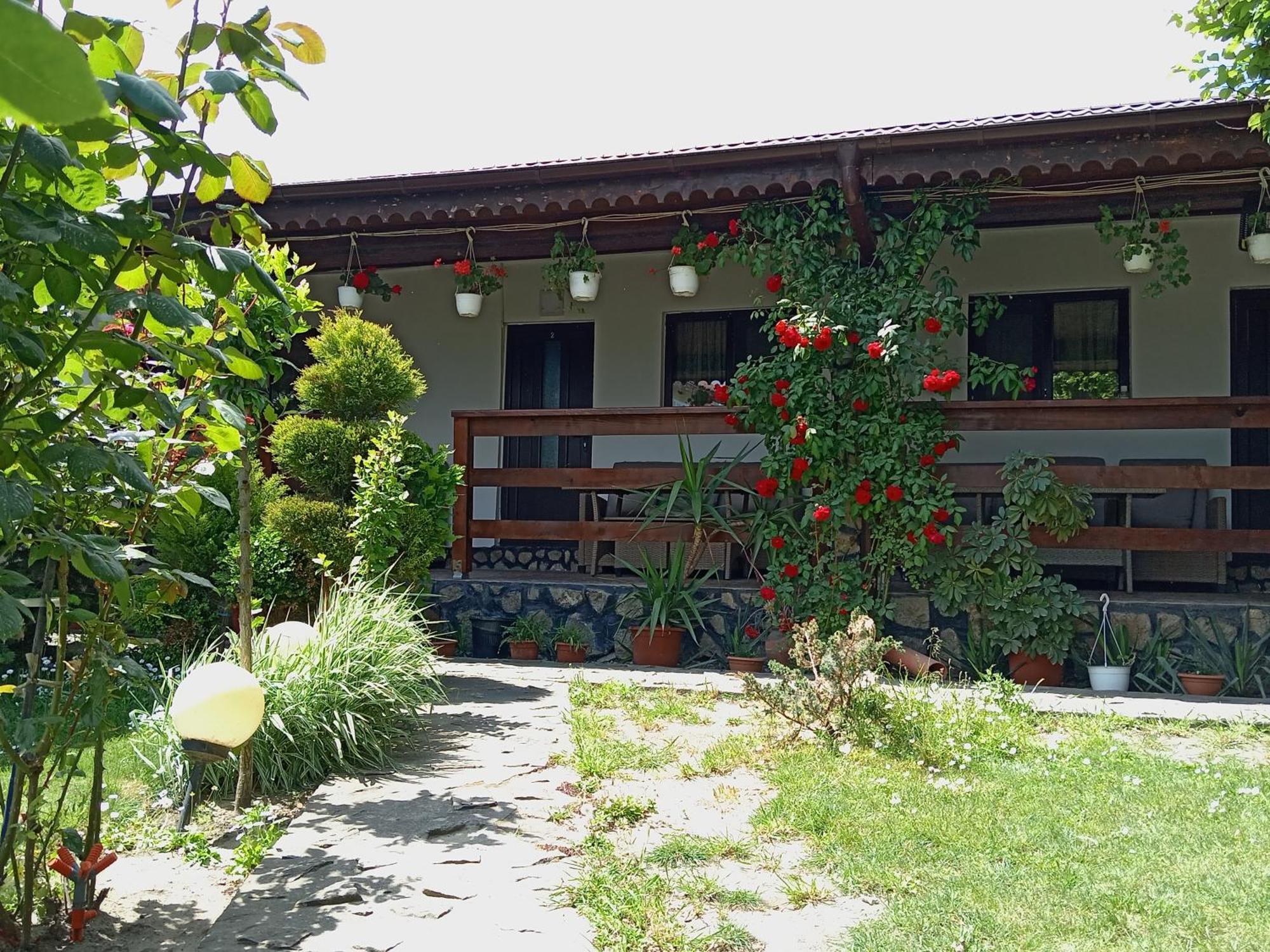 Affittacamere Casa Chitu Murighiol Esterno foto